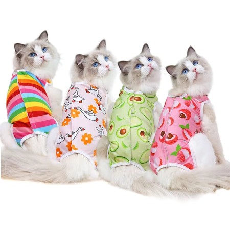 Combinaison de Récupération pour Chat - Post-Chirurgie & Confort | VetemAnimaux