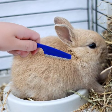 Kit de Toilettage pour Lapin – Brosse, Peigne & Coupe-Ongles