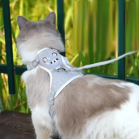 Laisse Réglable Respirante pour Chien et Chat – Confort et Sécurité | VetemAnimaux